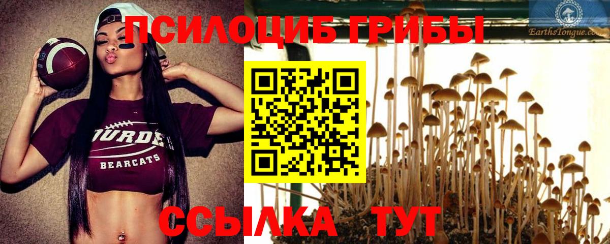 Галлюциногенные грибы мухоморы  Вход с VPN  Азнакаево 